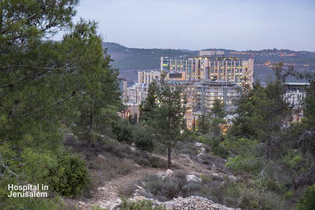 Jerusalem Hillside Hospital